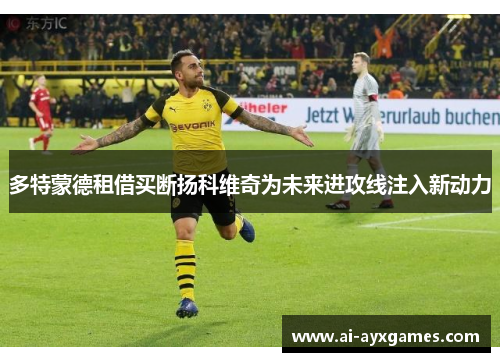 多特蒙德租借买断扬科维奇为未来进攻线注入新动力 多特蒙德租借买断扬科维奇为未来进攻线注入新动力