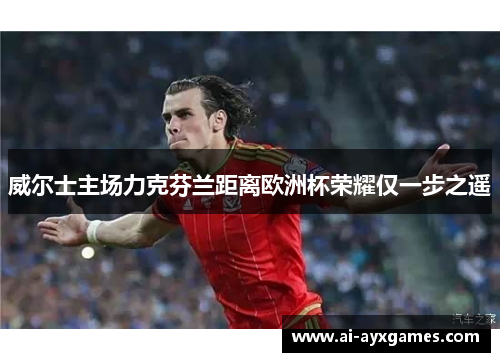 威尔士主场力克芬兰距离欧洲杯荣耀仅一步之遥 威尔士主场力克芬兰距离欧洲杯荣耀仅一步之遥